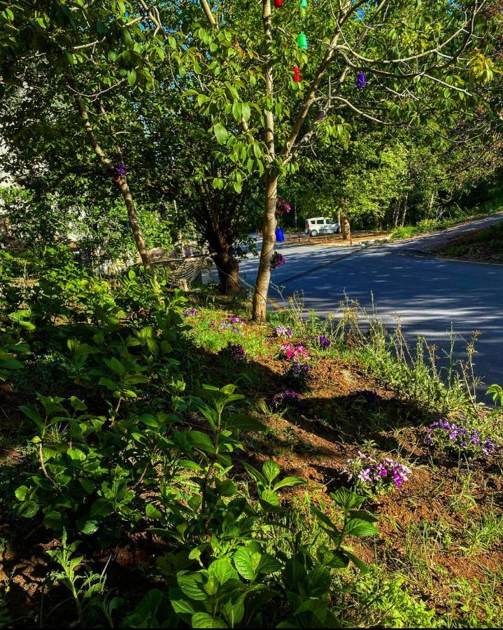 Kapri Termal Hotel & Kaplica Yalova Kültér fotó